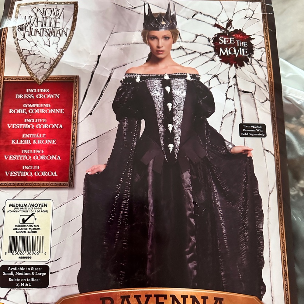 Snow White and the Huntsman costume